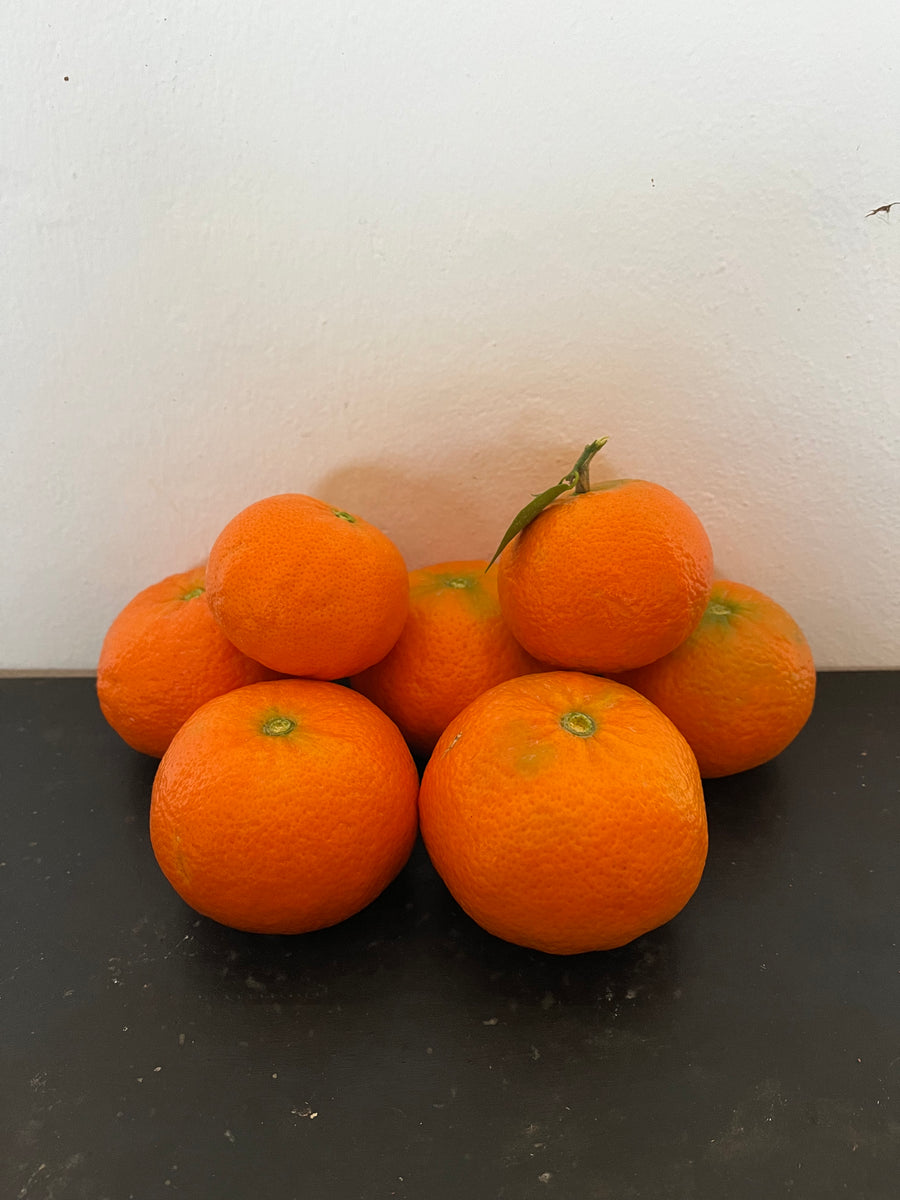Naranjas y mandarinas - LA CALERA